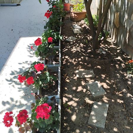 PalaiónTsiflíkion Strati'S Place מראה חיצוני תמונה