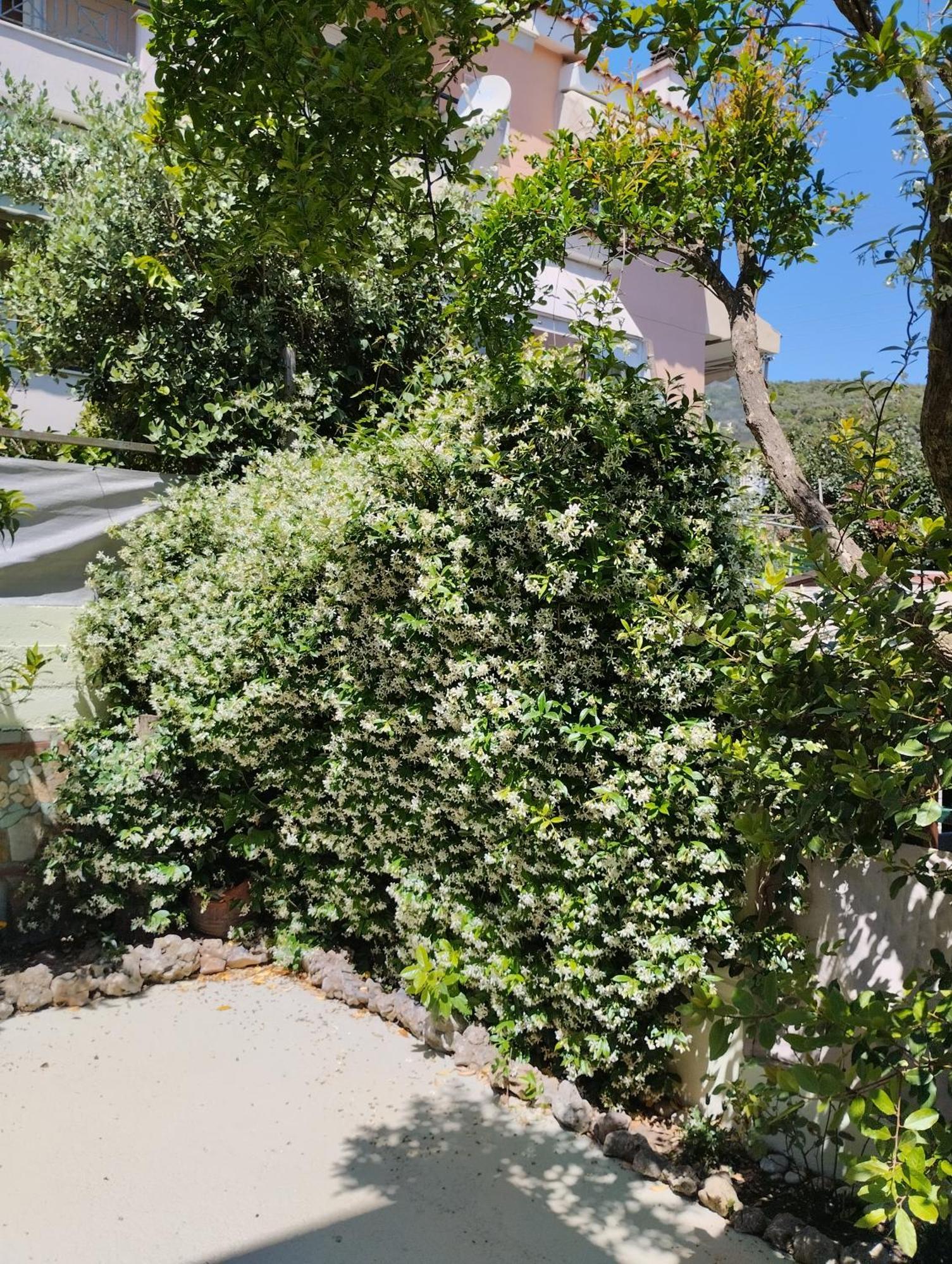 PalaiónTsiflíkion Strati'S Place מראה חיצוני תמונה